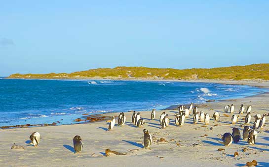 Seguro de viaje a las islas Malvinas